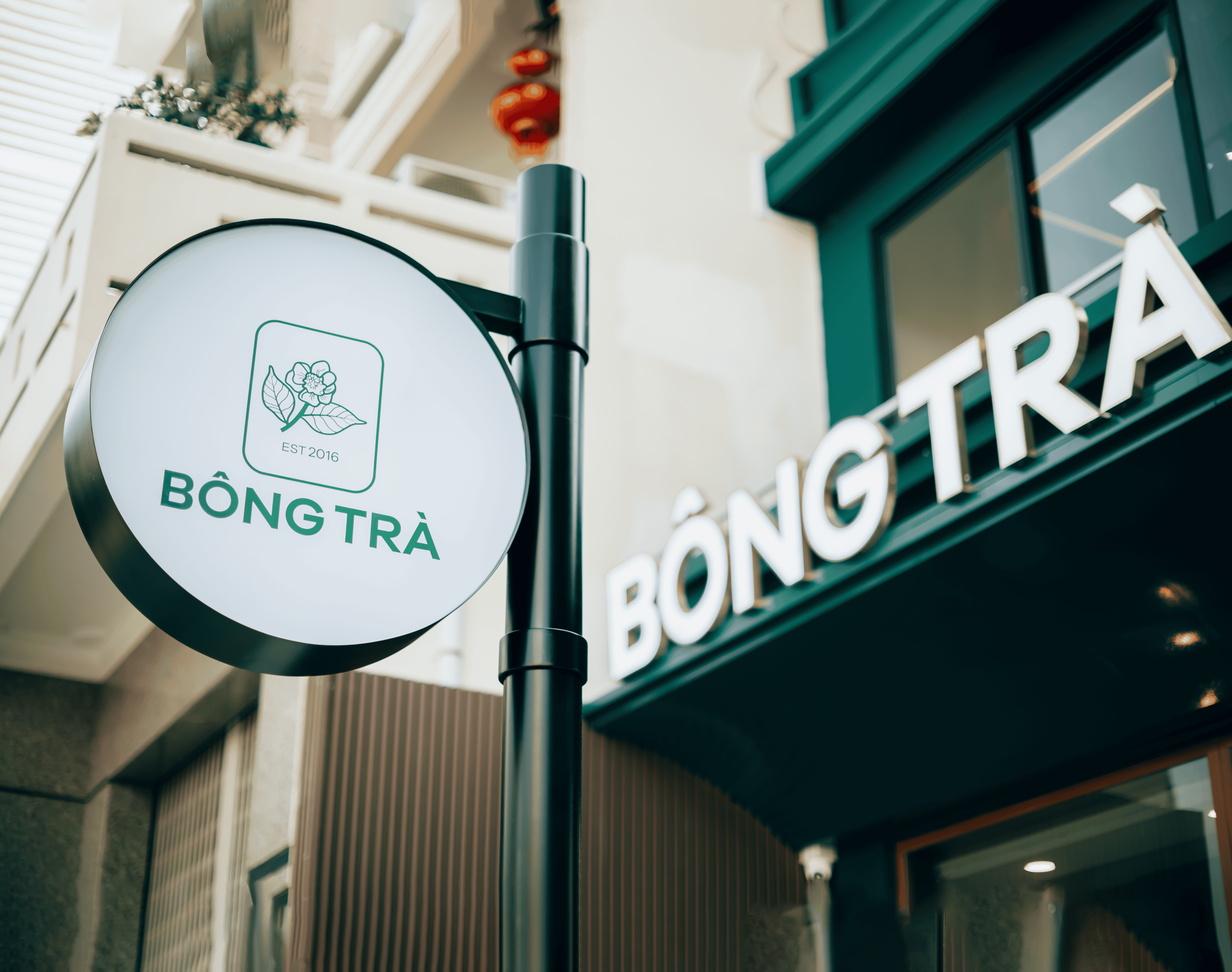 Bông Trà Lũy Bán Bích