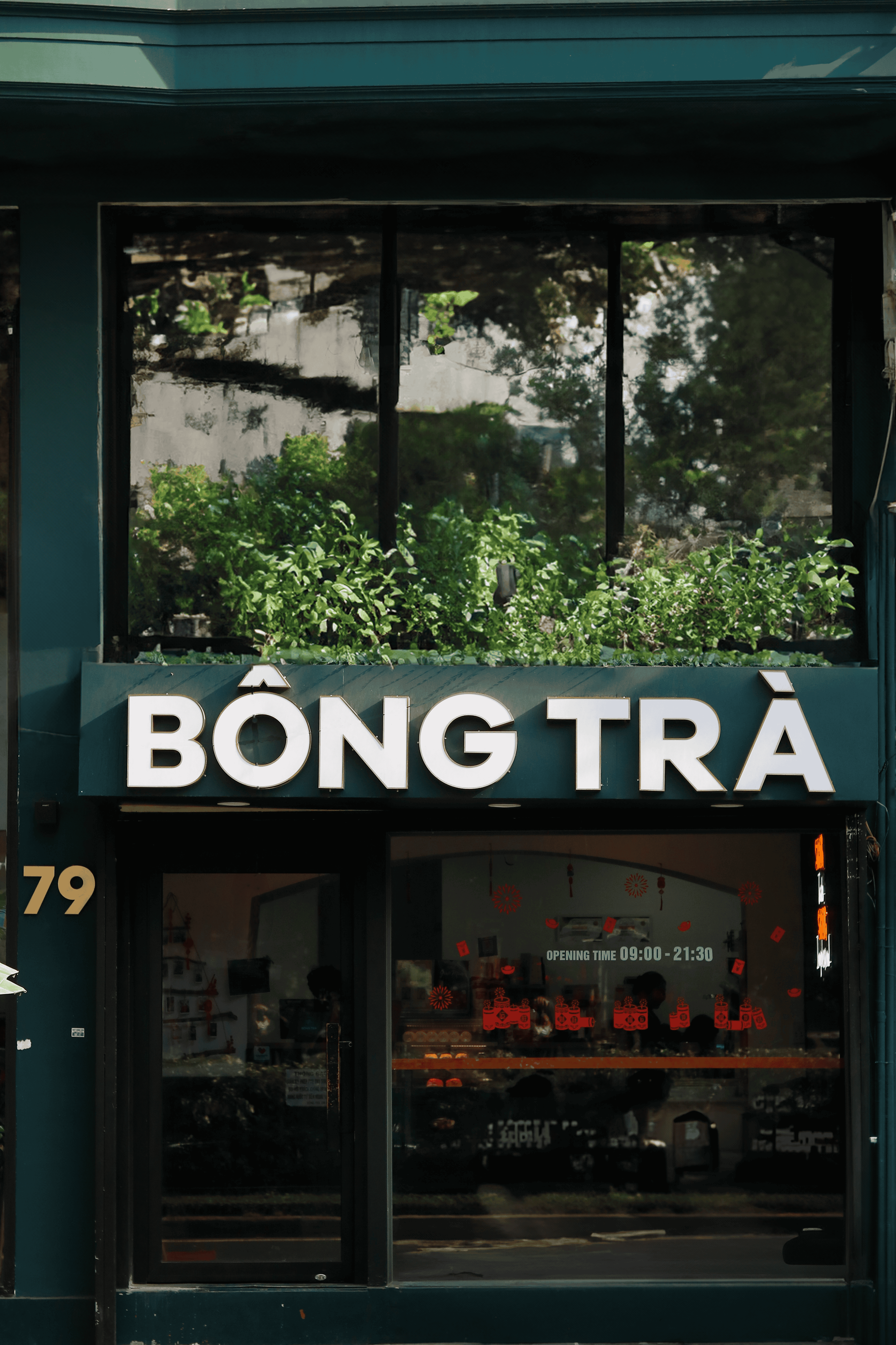 Bông Trà Bàu Cát